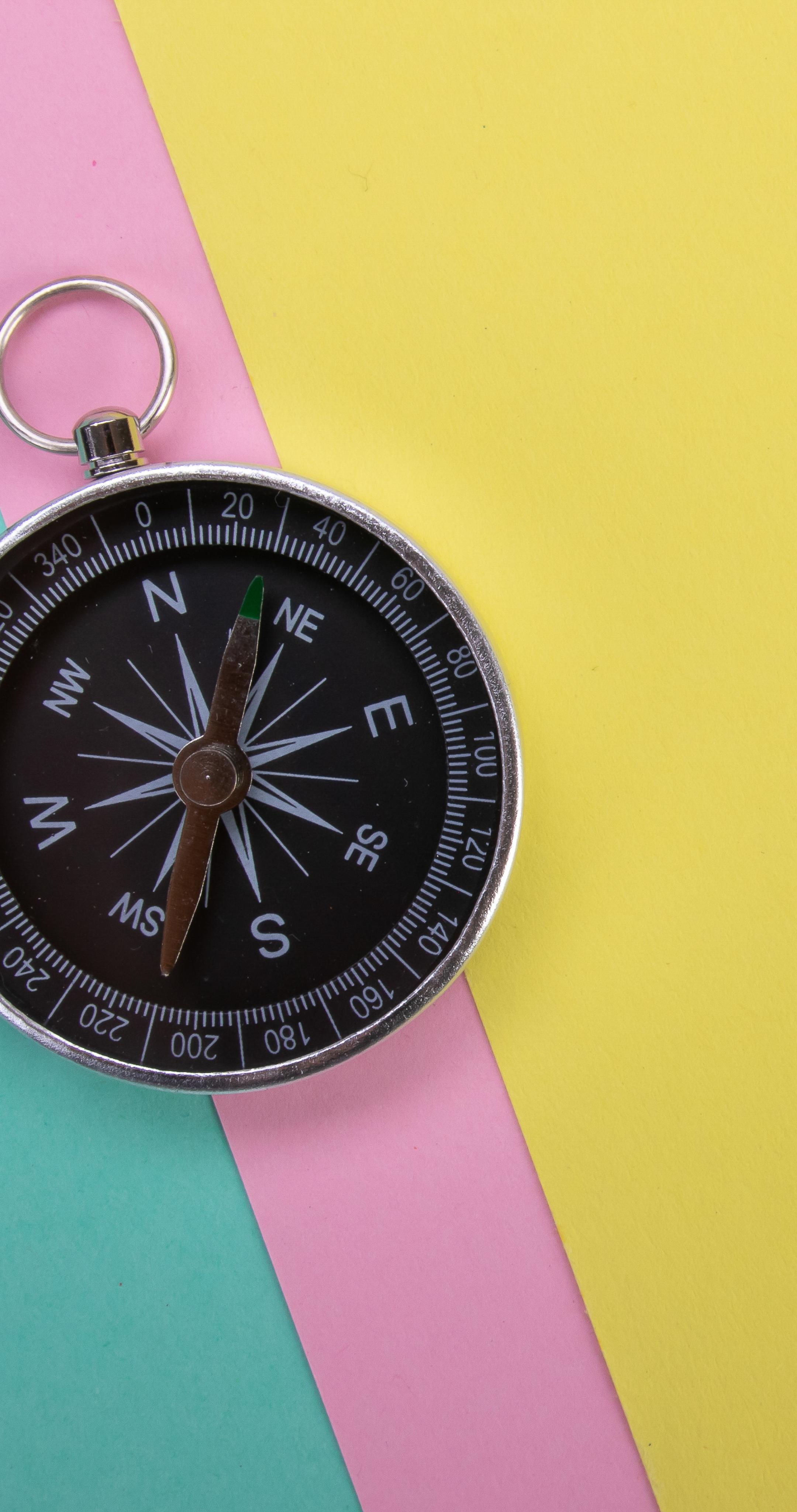 Compass Navigation Wind-rose