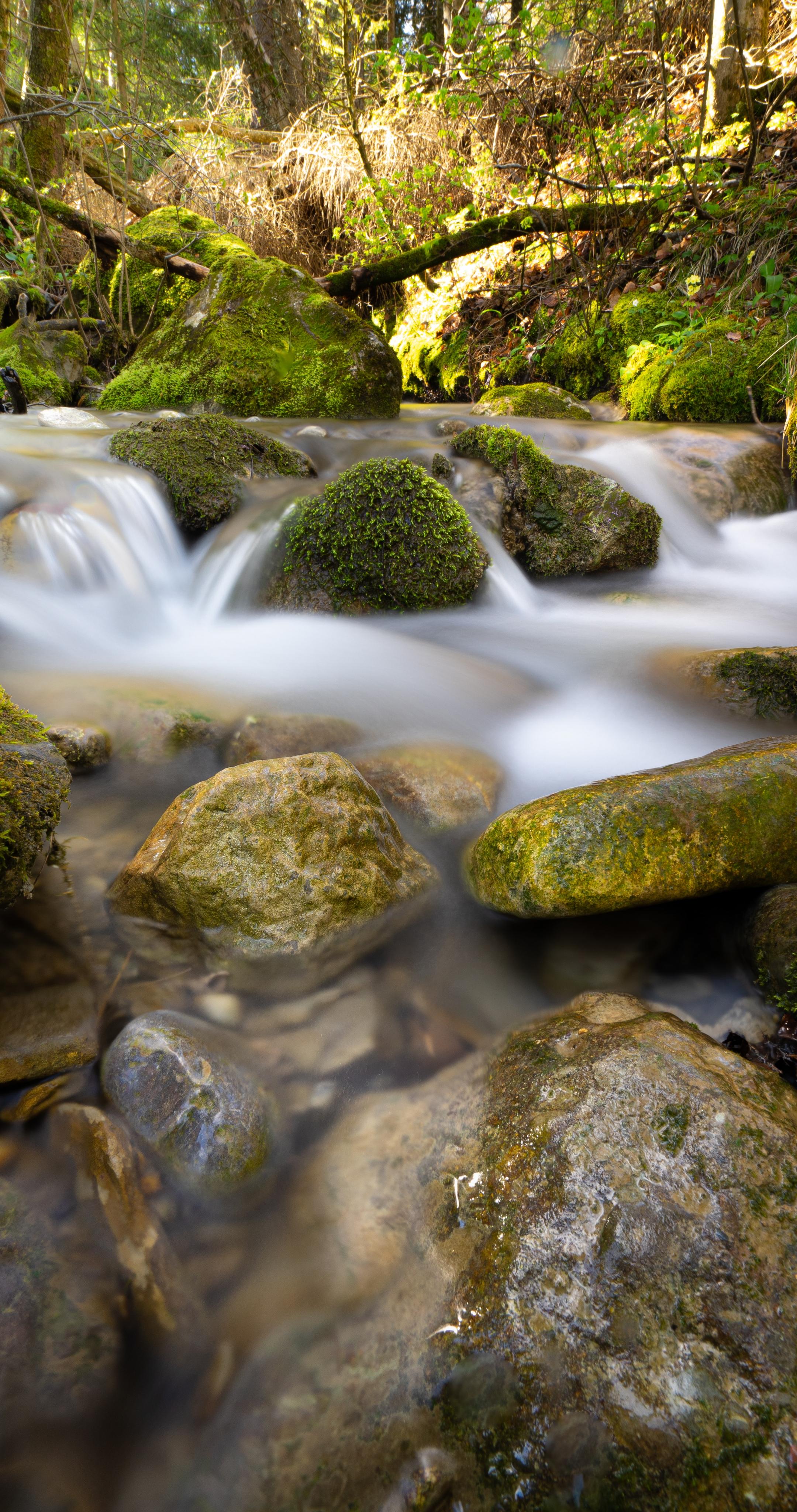 River Stream Stones Moss Water Long-exposure
