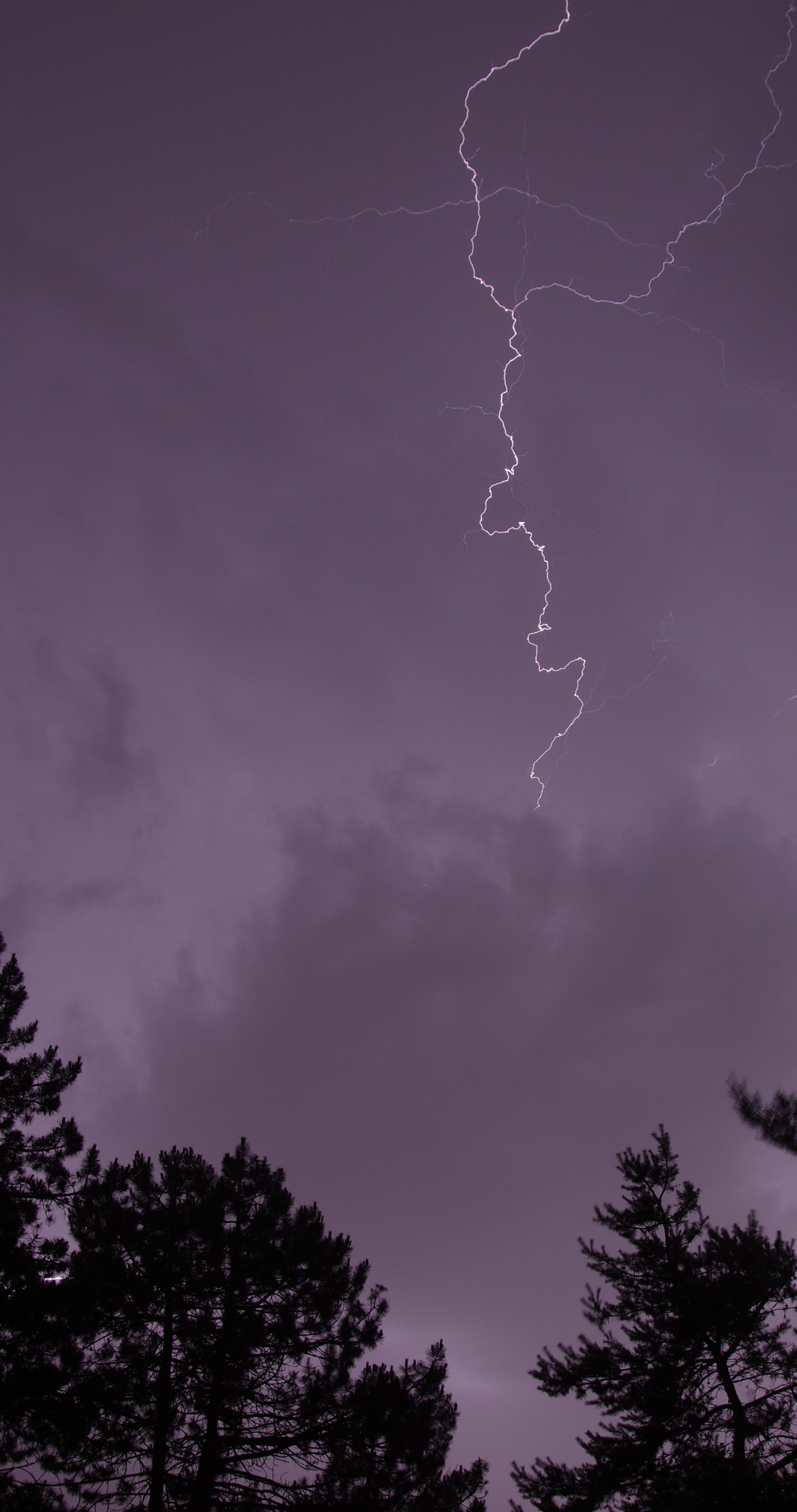 Trees Silhouettes Thunderstorm Lightning Dark