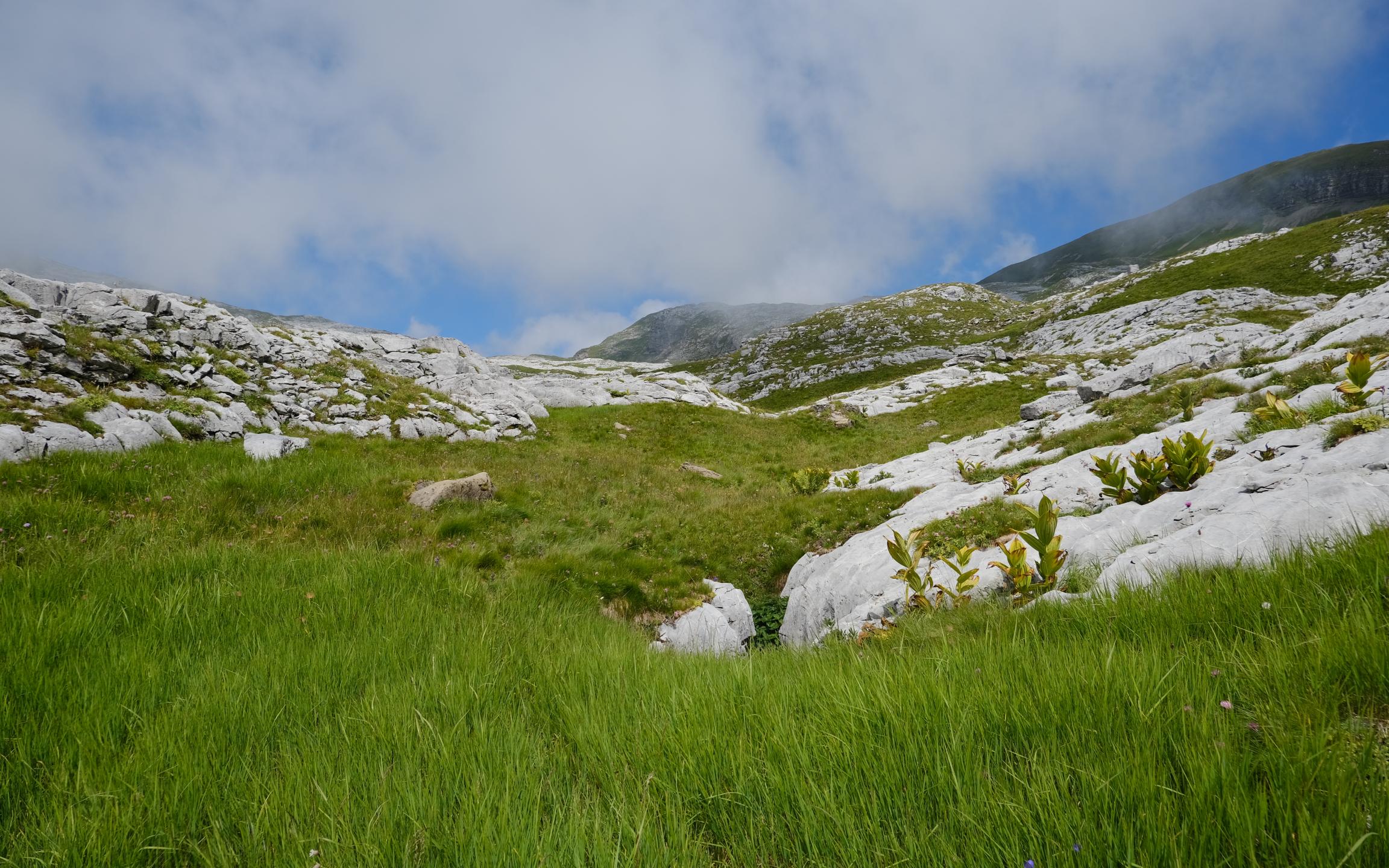 Hills Valley Nature Landscape