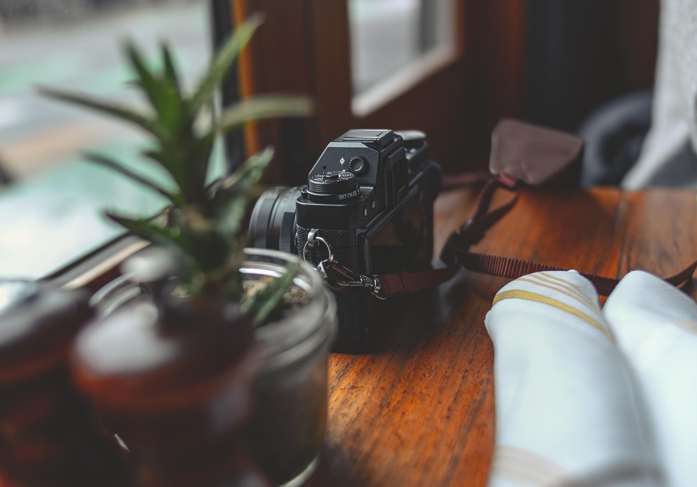 Camera Plants Table Aesthetics