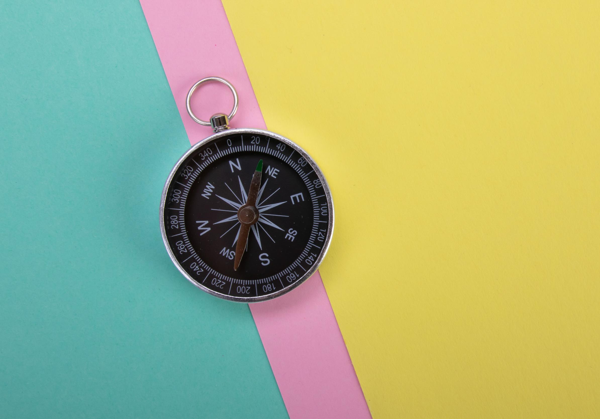 Compass Navigation Wind-rose
