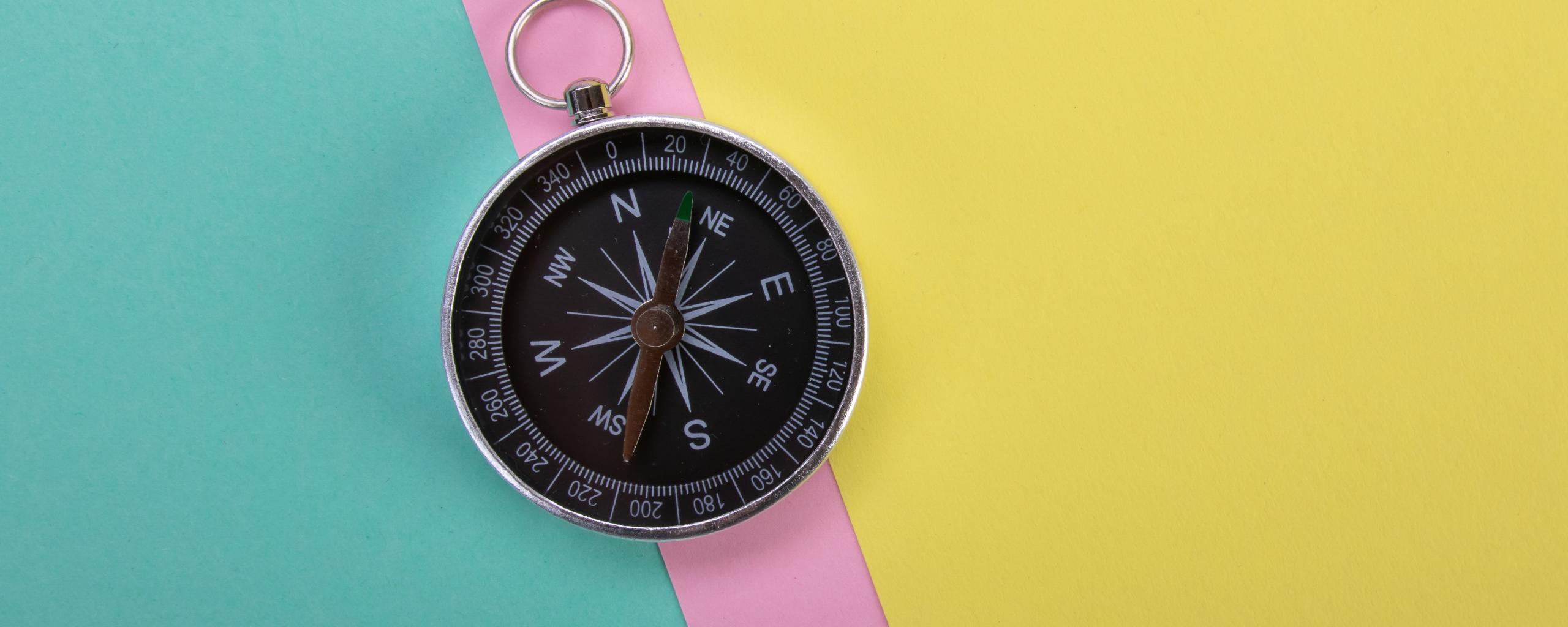 Compass Navigation Wind-rose