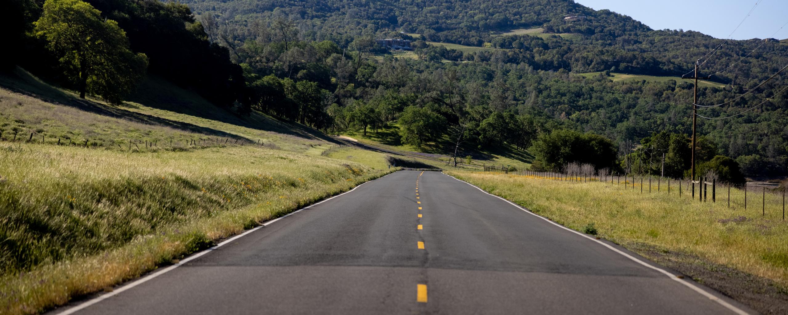 Road Trees Hill Nature Landscape