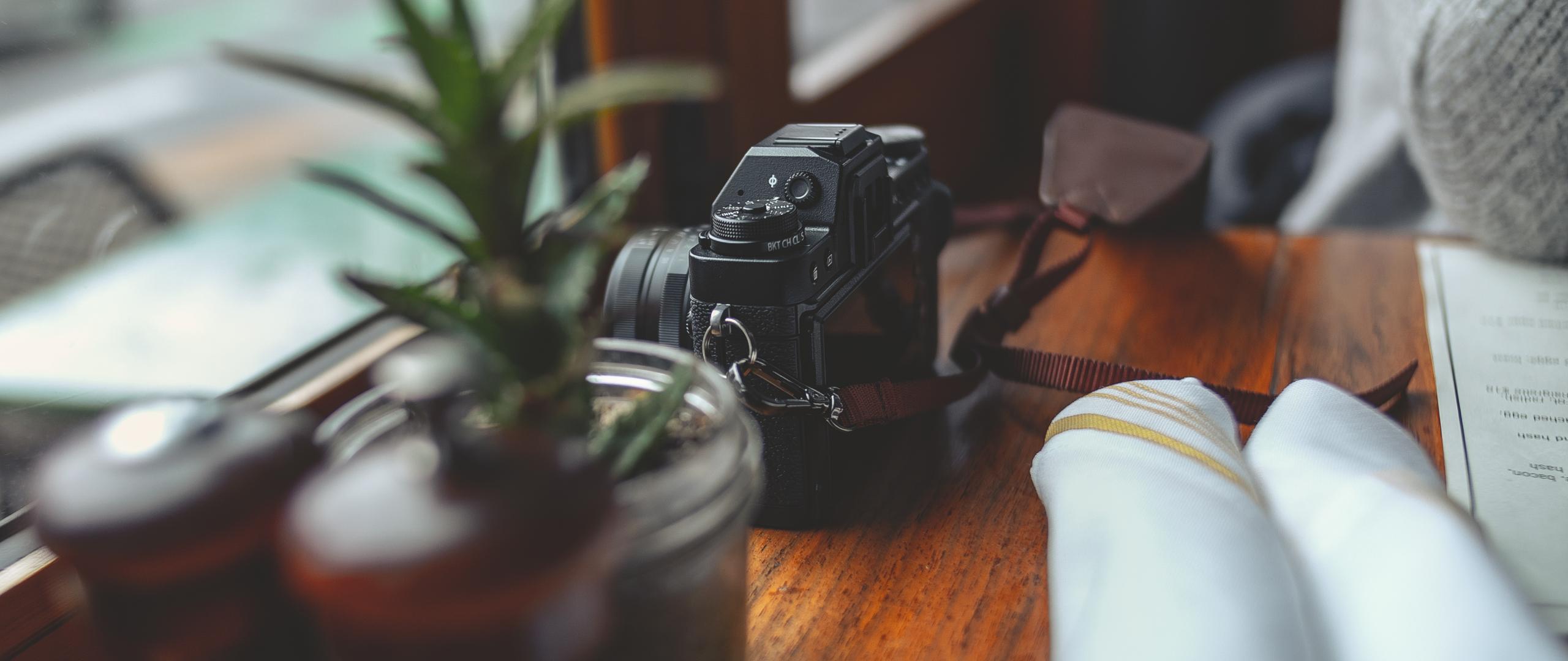 Camera Plants Table Aesthetics