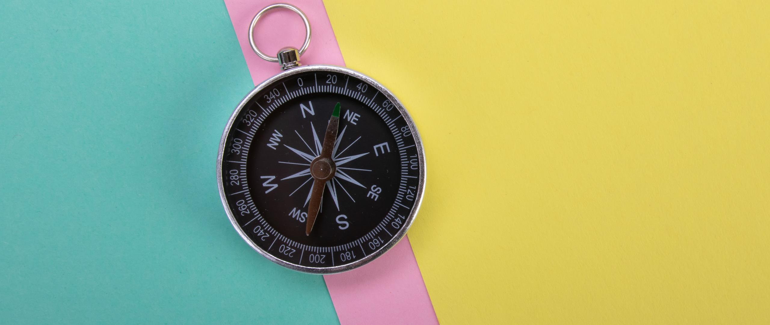 Compass Navigation Wind-rose