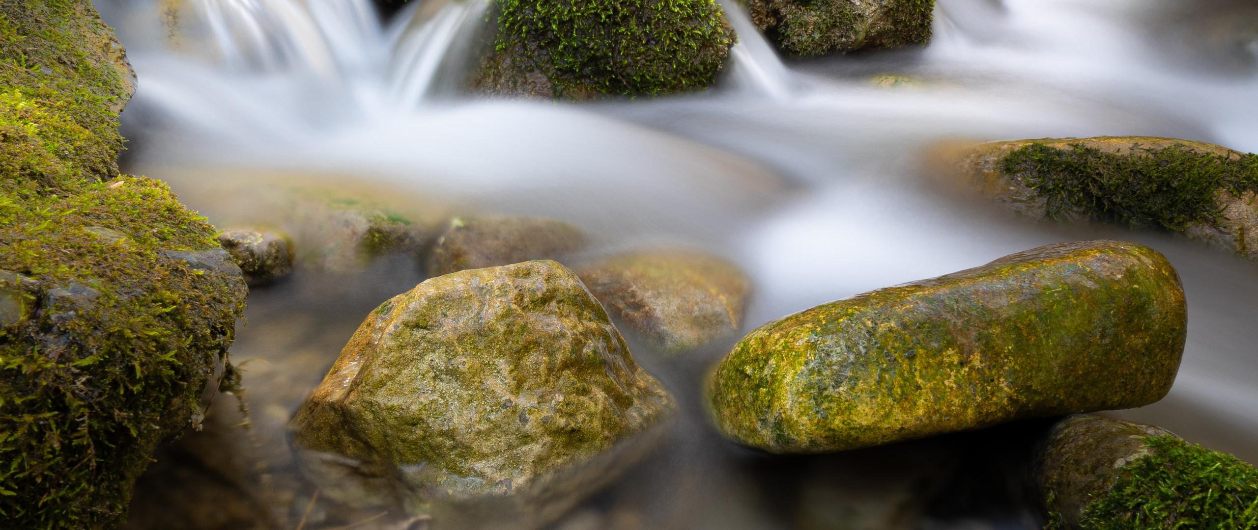 River Stream Stones Moss Water Long-exposure