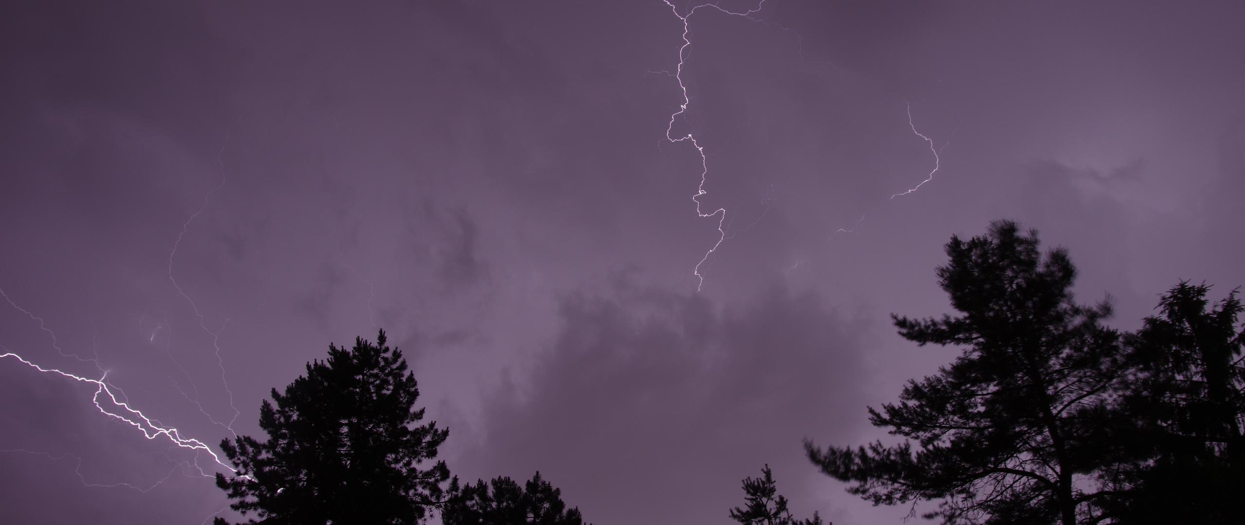 Trees Silhouettes Thunderstorm Lightning Dark