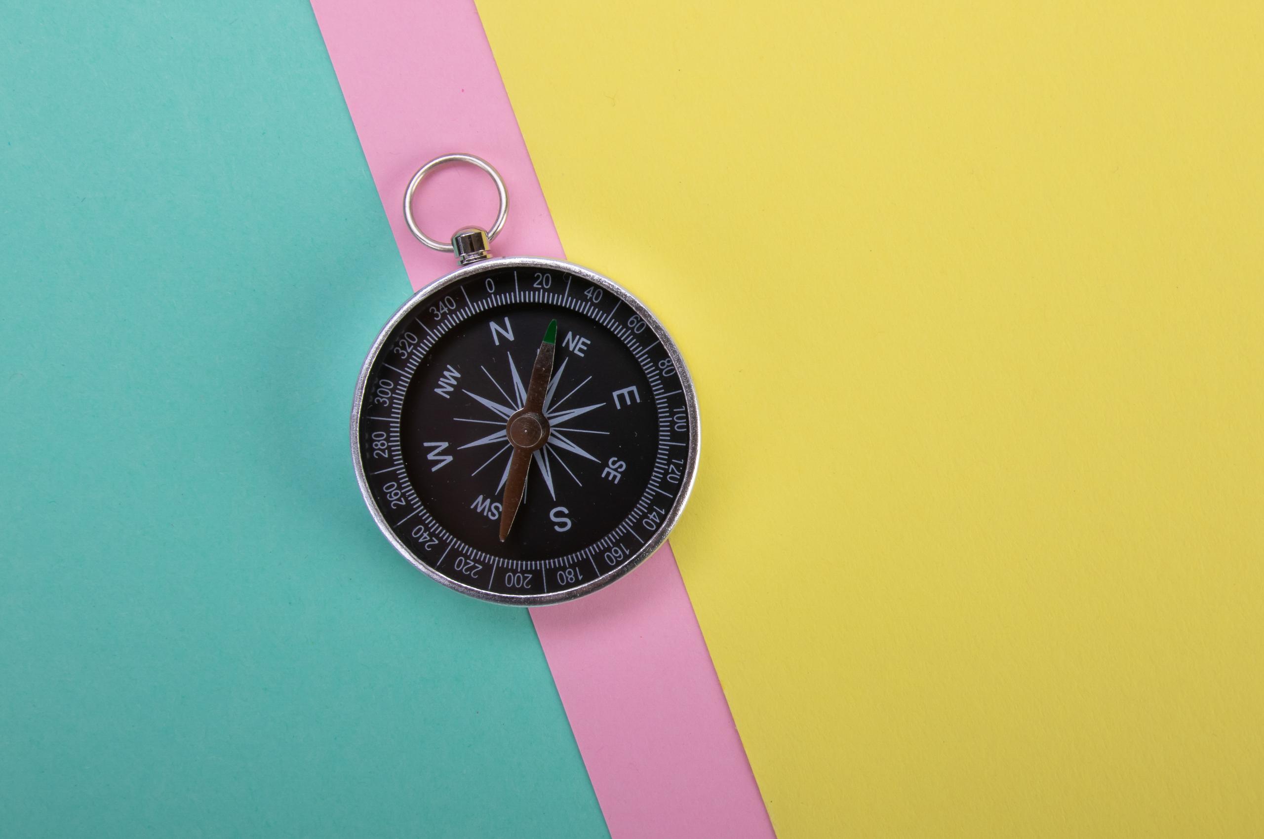 Compass Navigation Wind-rose