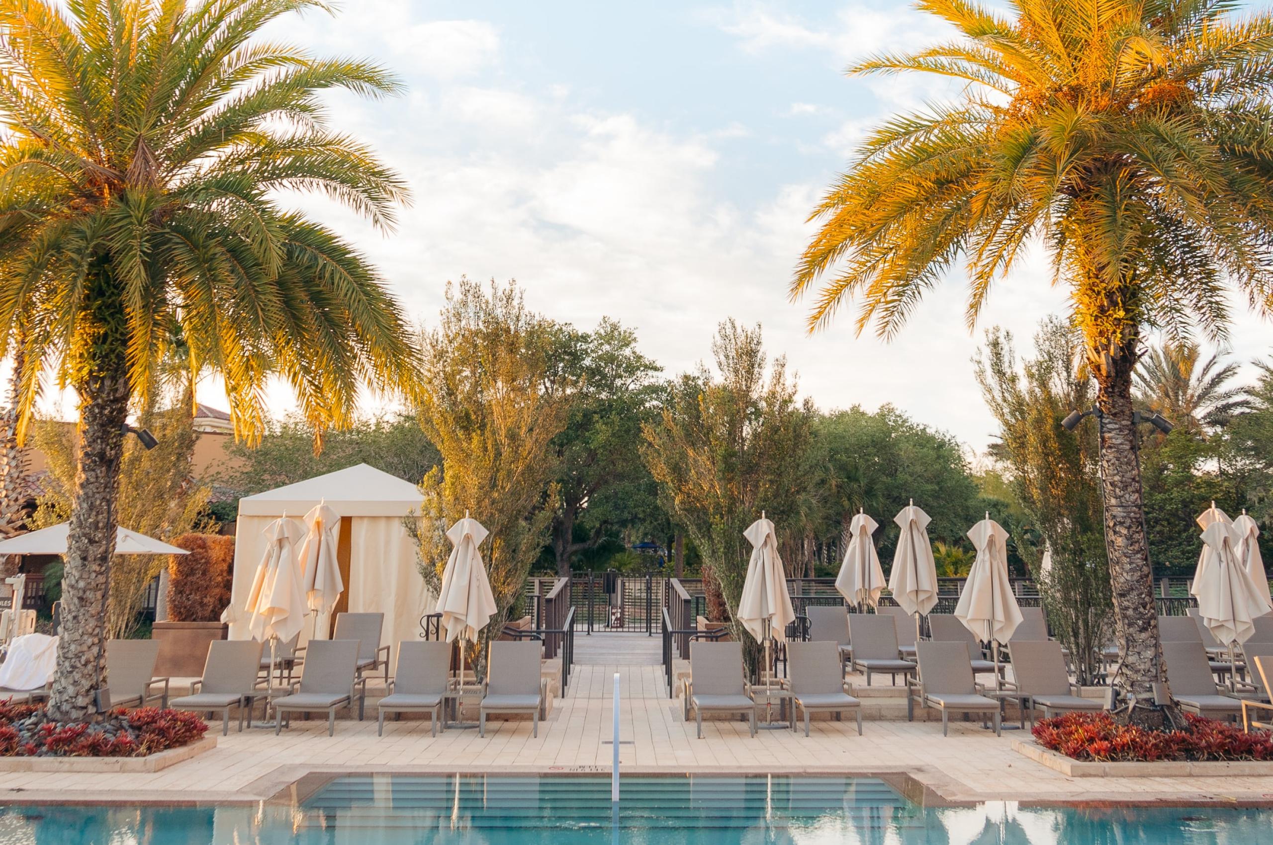 Pool Palm-trees Sun-loungers Vacation Summer