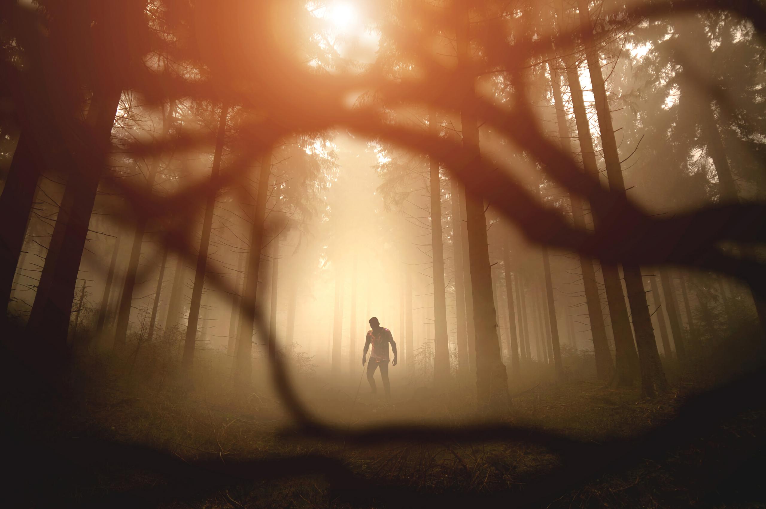 Zombie Silhouette Forest Trees Apocalypse Twilight