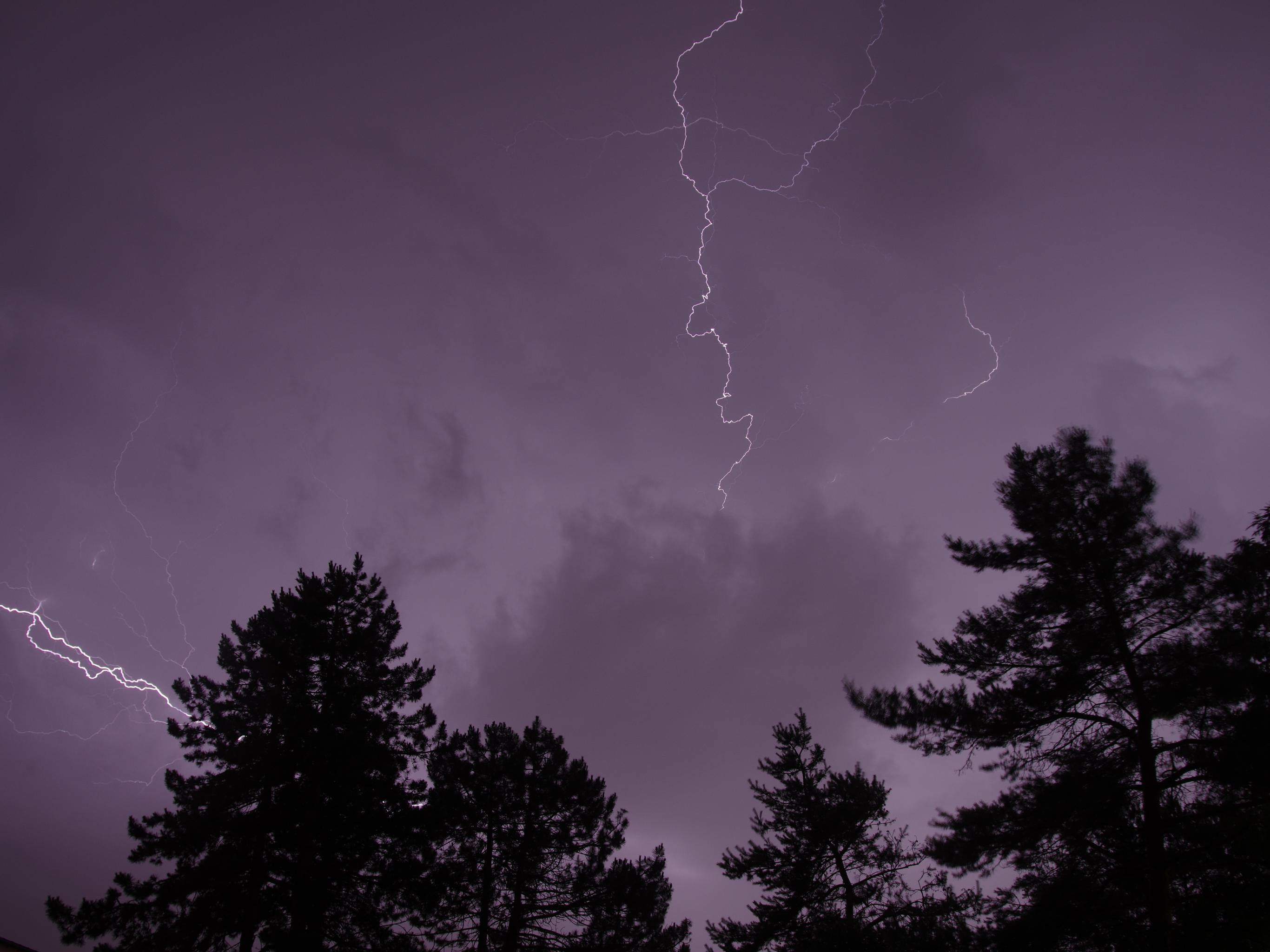 Trees Silhouettes Thunderstorm Lightning Dark