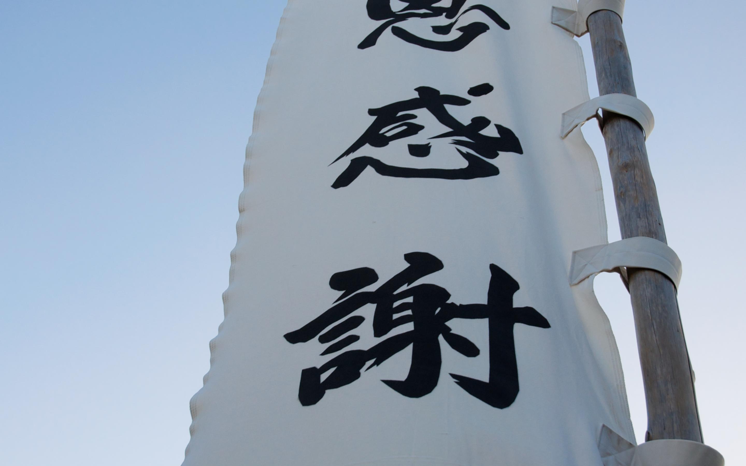 Flag Hieroglyphs Words Fabric Inscription Japan