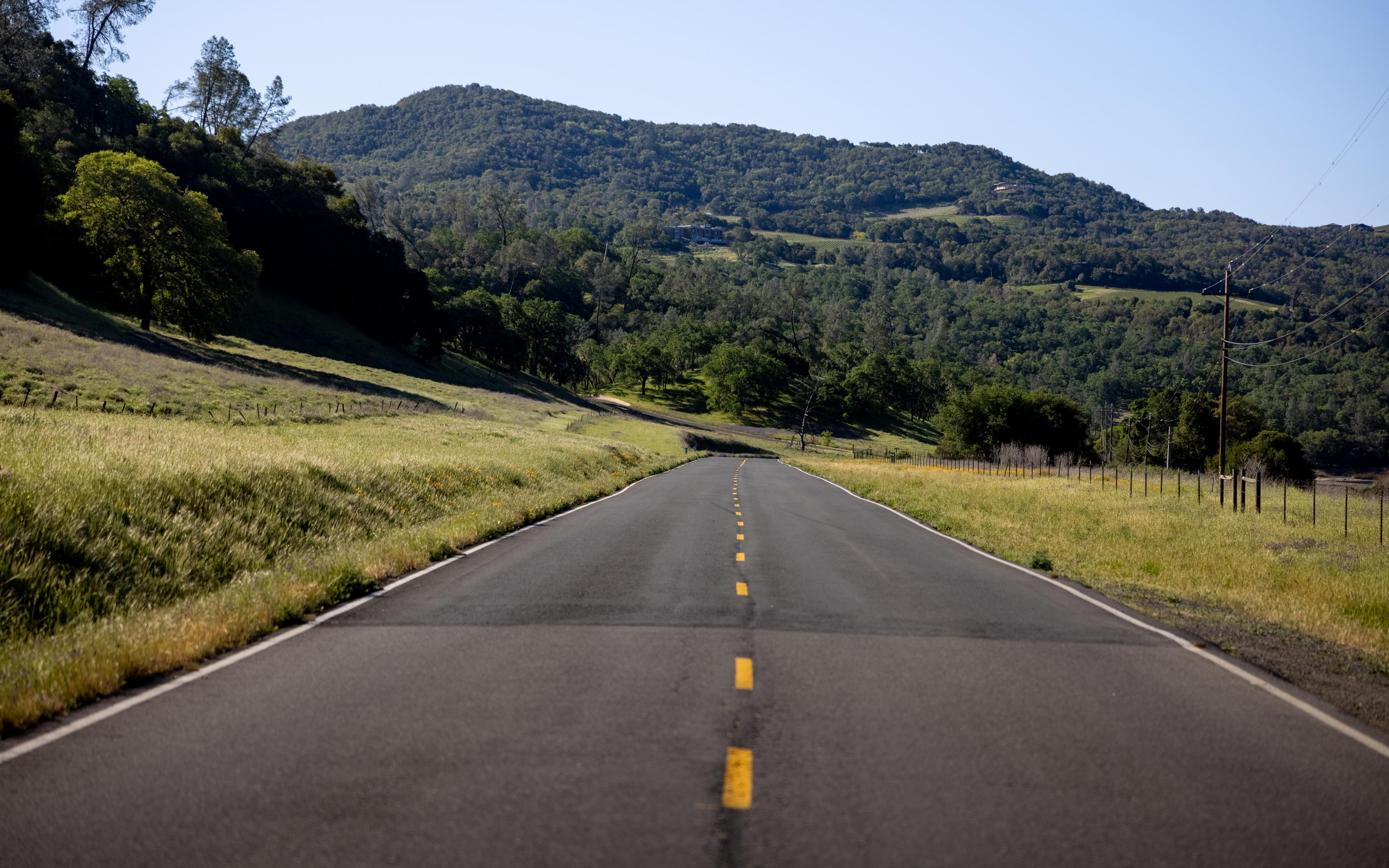 Road Trees Hill Nature Landscape