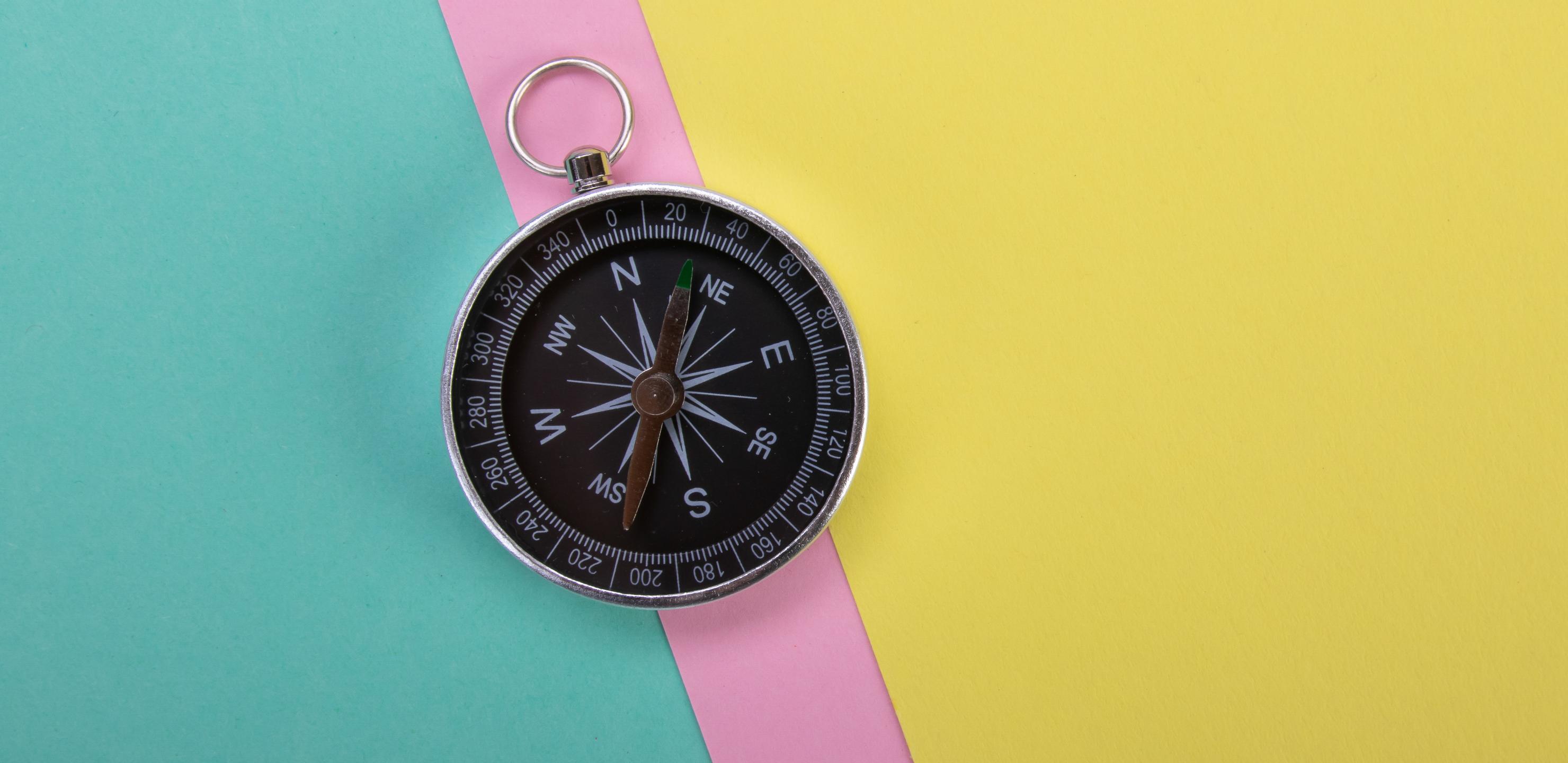 Compass Navigation Wind-rose