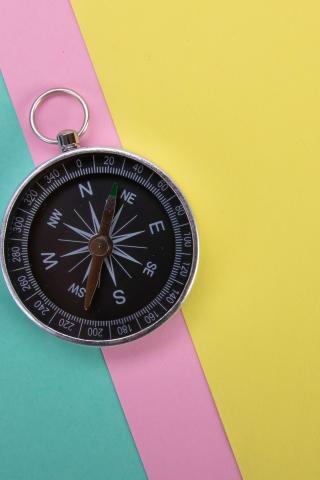 Compass Navigation Wind-rose