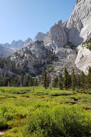 Mountains Valley Trees Bushes Greenery Landscape