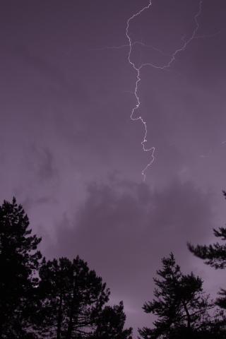 Trees Silhouettes Thunderstorm Lightning Dark