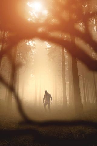 Zombie Silhouette Forest Trees Apocalypse Twilight