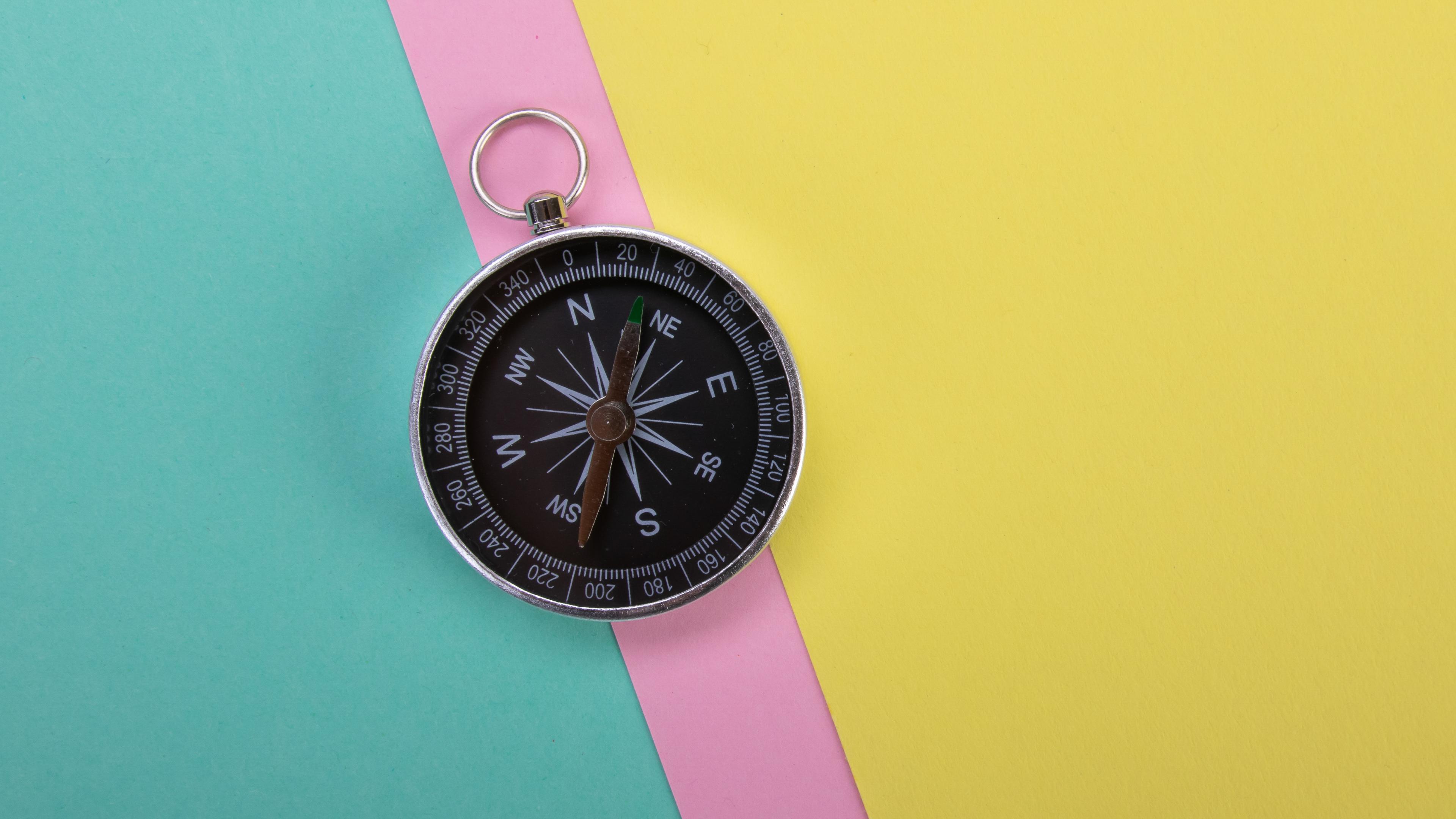 Compass Navigation Wind-rose