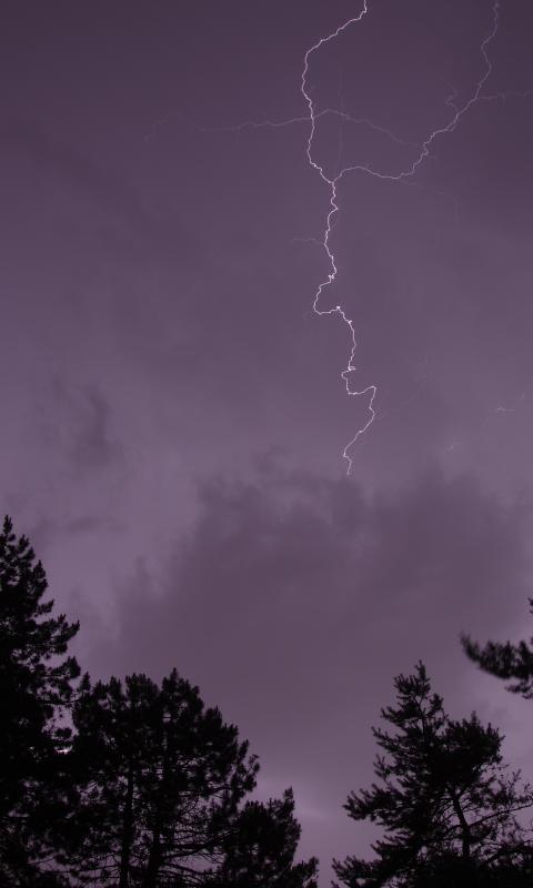 Trees Silhouettes Thunderstorm Lightning Dark
