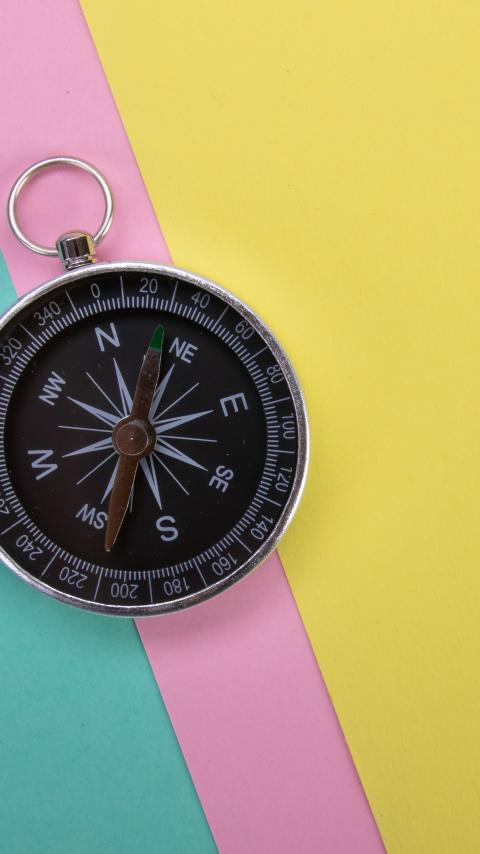 Compass Navigation Wind-rose