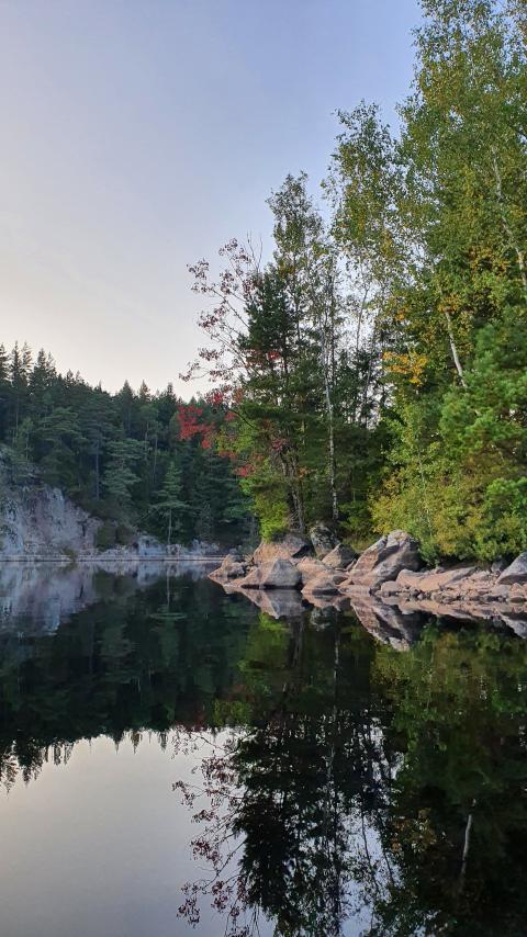 Trees Coast Lake Reflection Nature