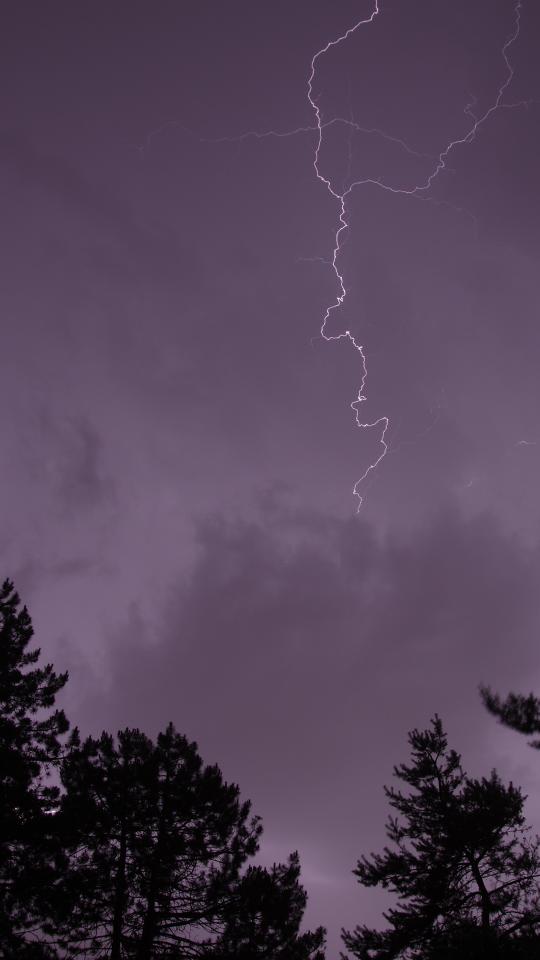 Trees Silhouettes Thunderstorm Lightning Dark