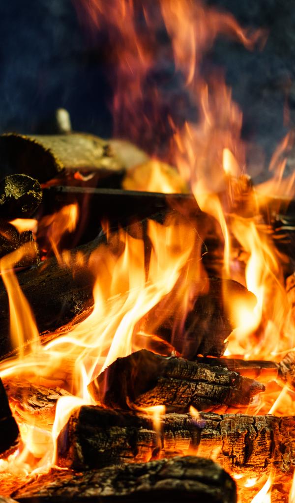 Bonfire Logs Fire Flame Twilight Dark