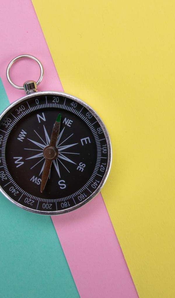 Compass Navigation Wind-rose