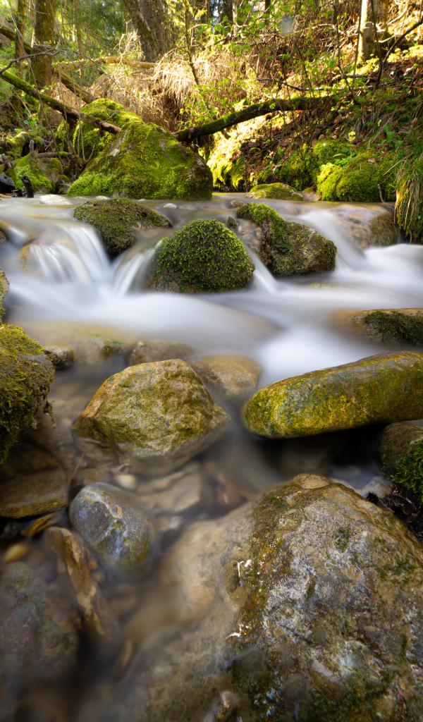 River Stream Stones Moss Water Long-exposure