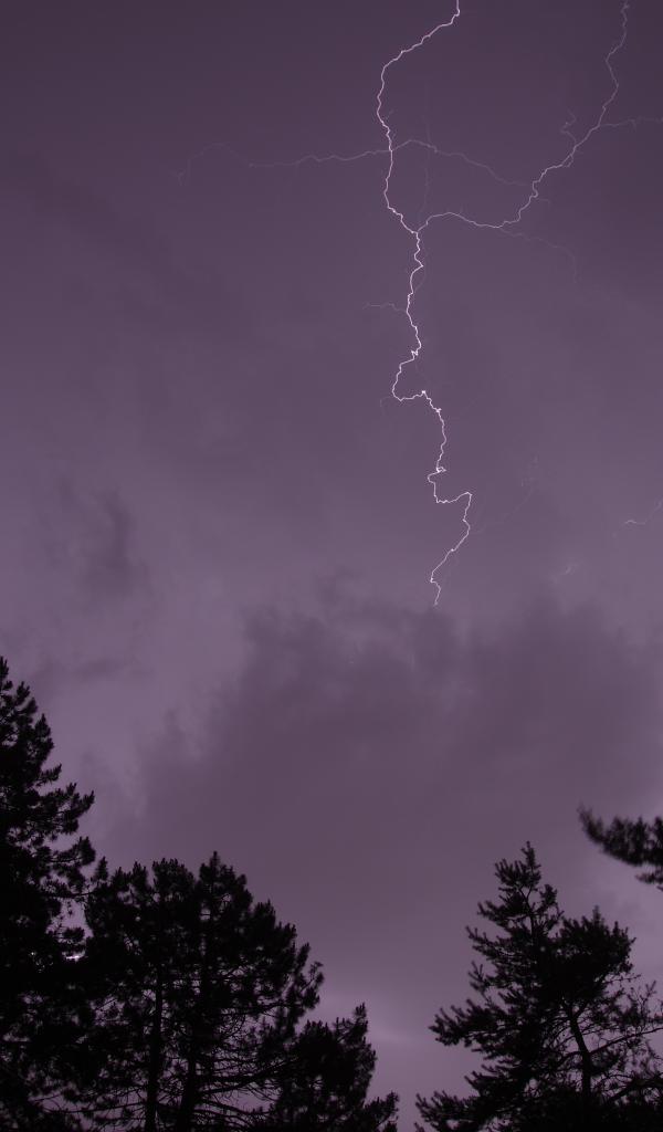 Trees Silhouettes Thunderstorm Lightning Dark