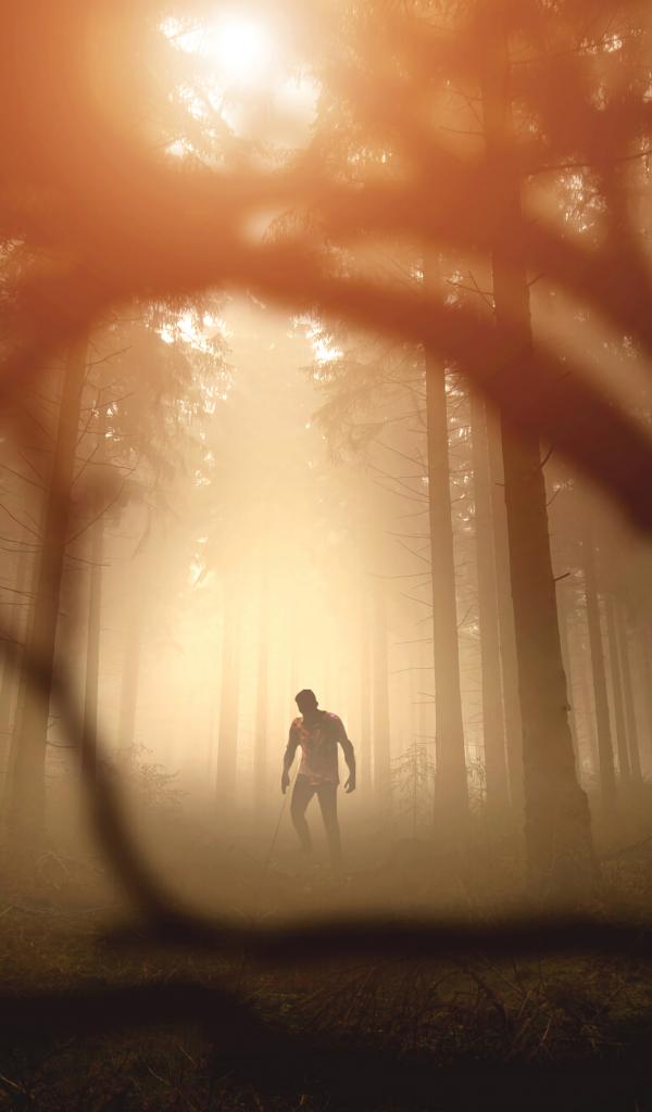 Zombie Silhouette Forest Trees Apocalypse Twilight