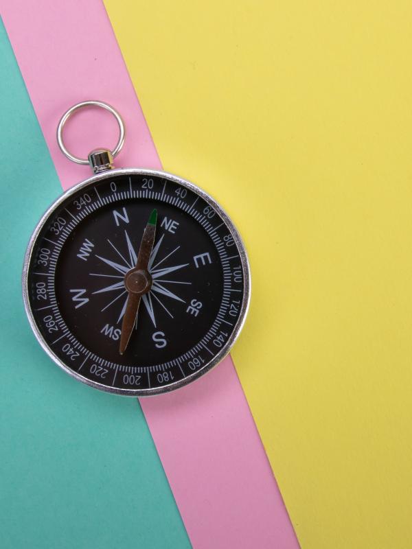 Compass Navigation Wind-rose