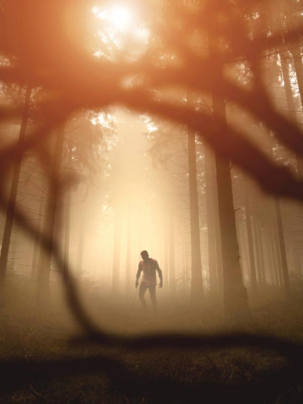 Zombie Silhouette Forest Trees Apocalypse Twilight