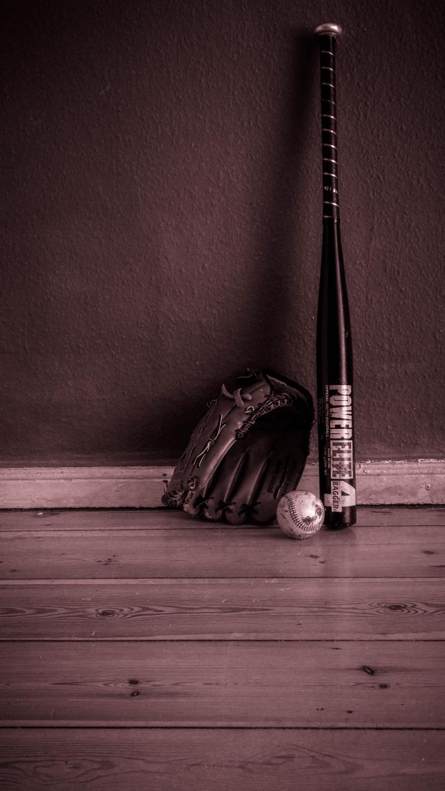 Baseball Bat Glove Inventory Sport
