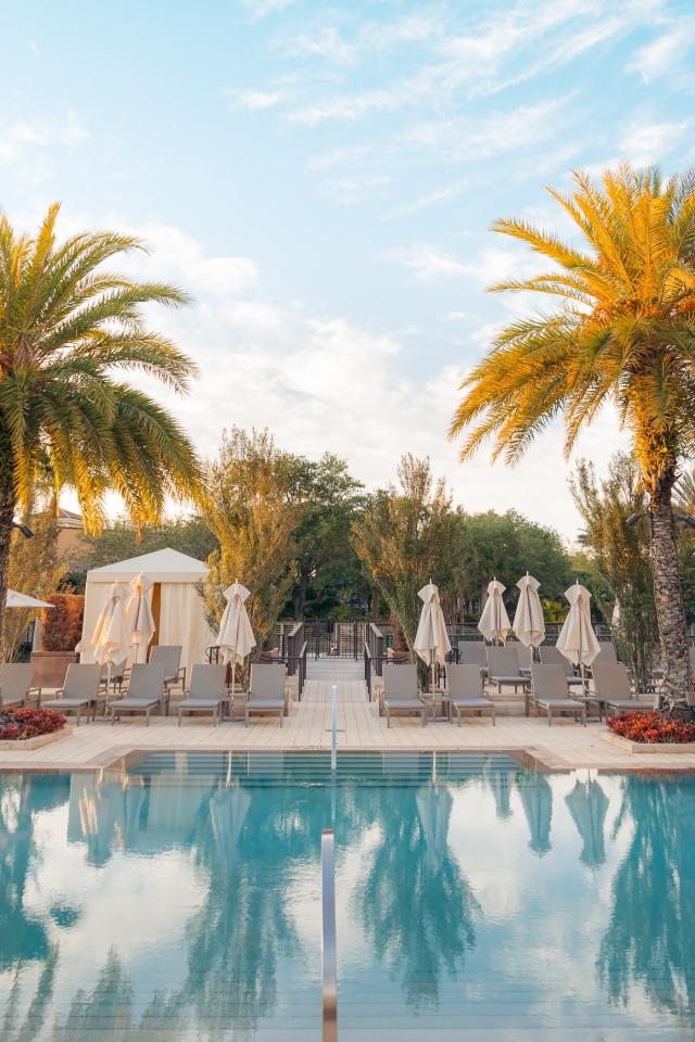 Pool Palm-trees Sun-loungers Vacation Summer