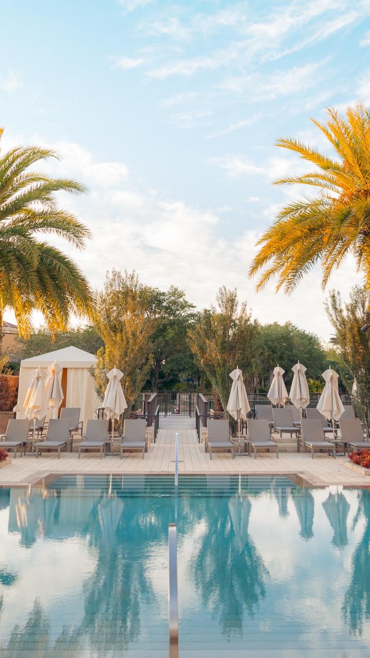 Pool Palm-trees Sun-loungers Vacation Summer