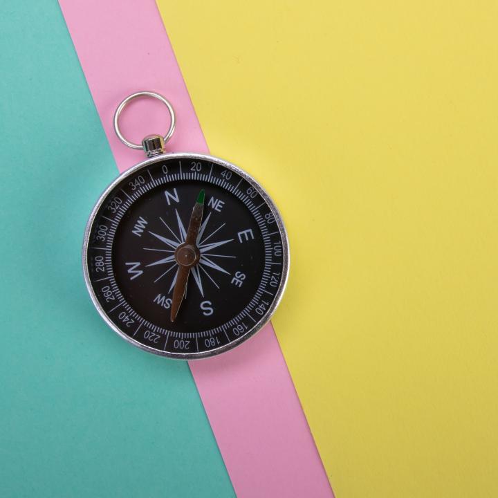 Compass Navigation Wind-rose