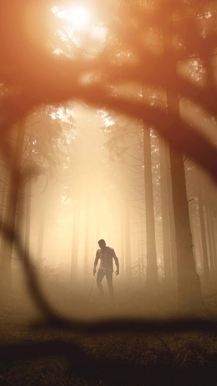 Zombie Silhouette Forest Trees Apocalypse Twilight