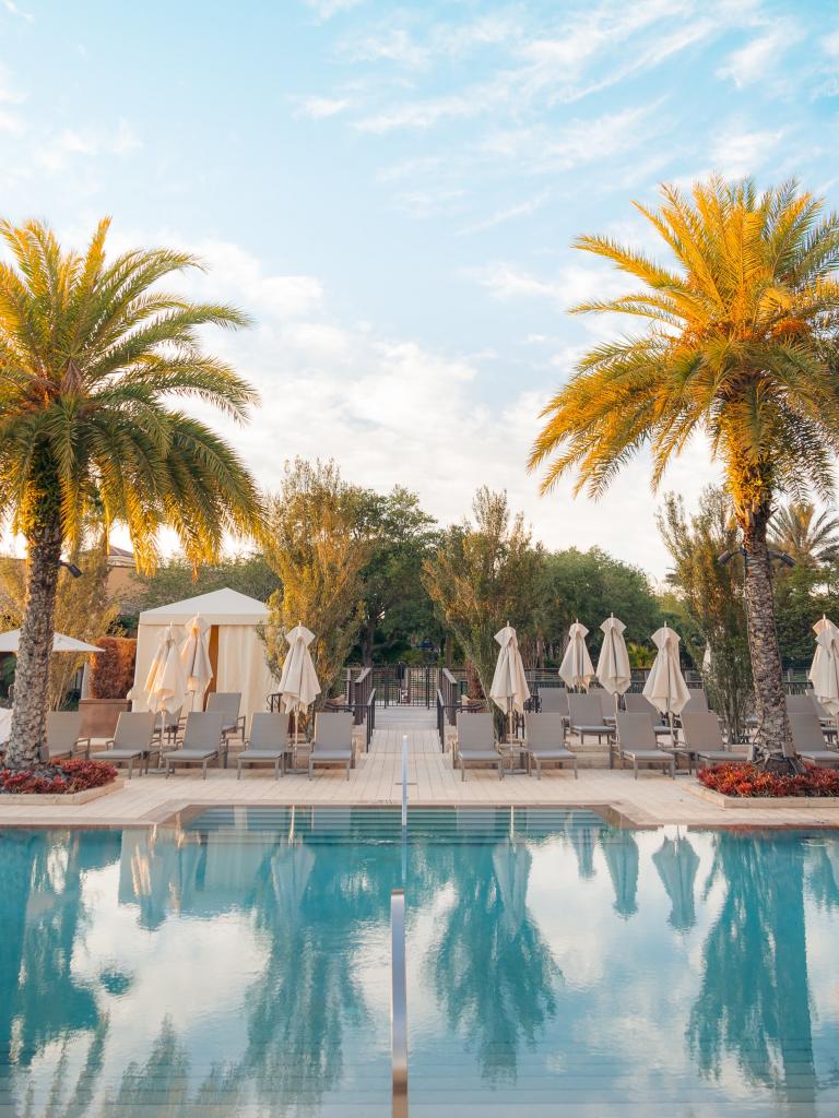 Pool Palm-trees Sun-loungers Vacation Summer
