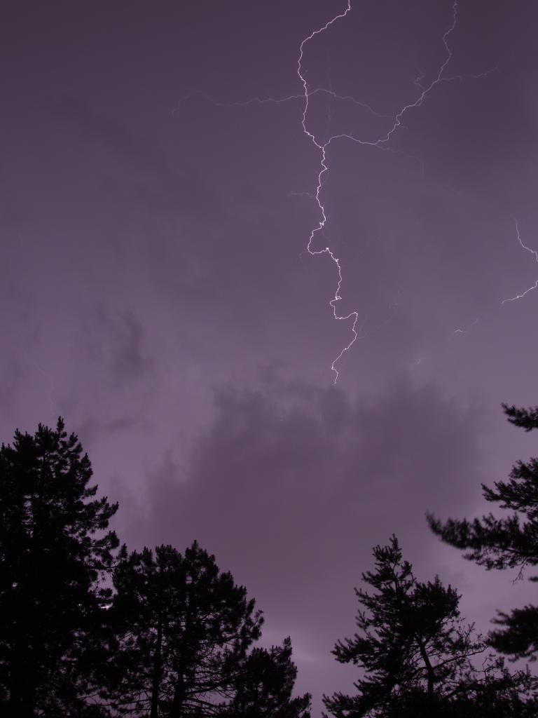 Trees Silhouettes Thunderstorm Lightning Dark