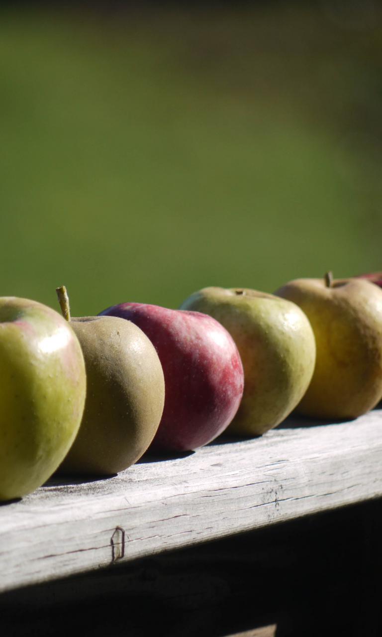 Apples Fruit Fresh Fence