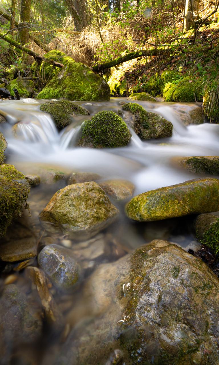 River Stream Stones Moss Water Long-exposure
