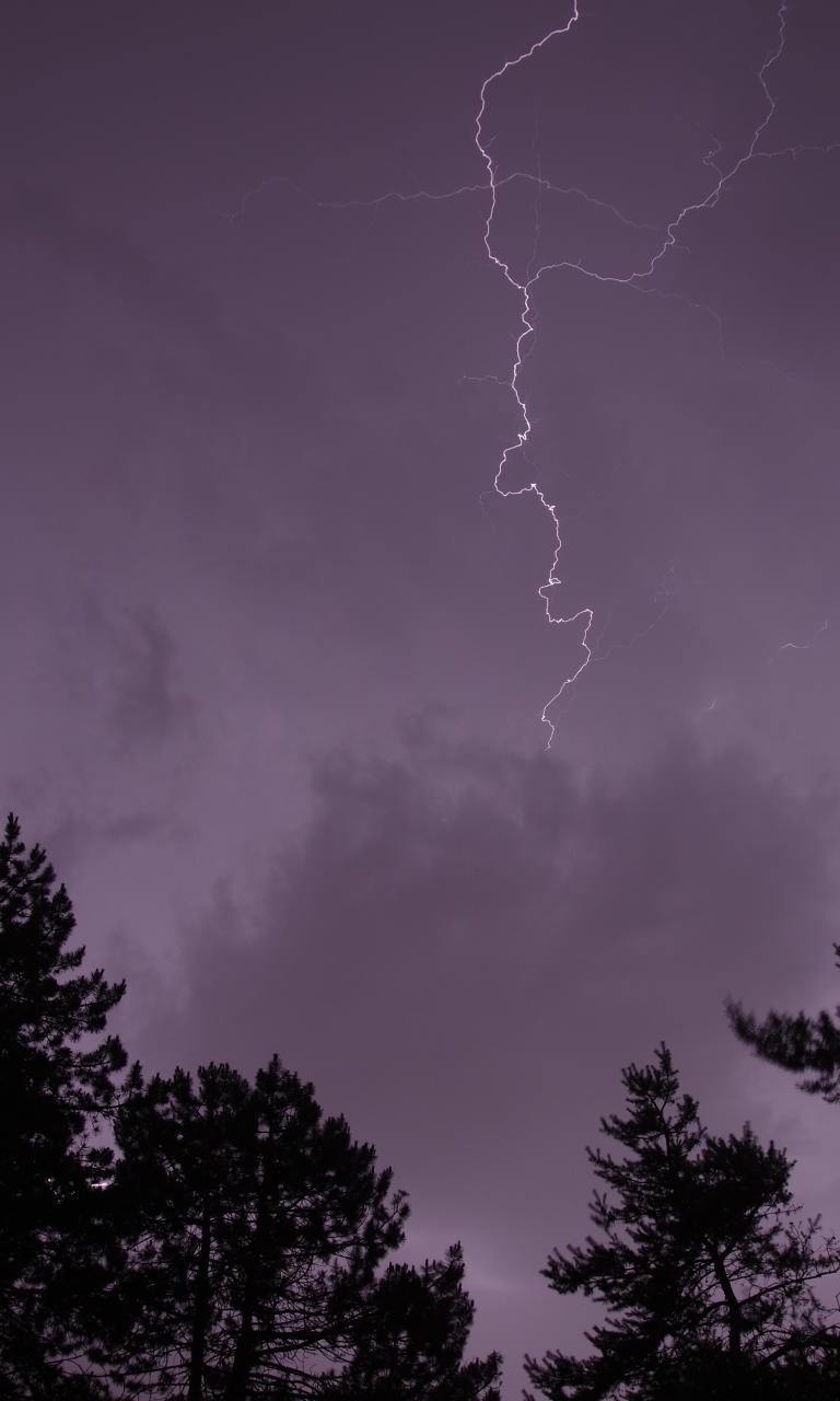 Trees Silhouettes Thunderstorm Lightning Dark