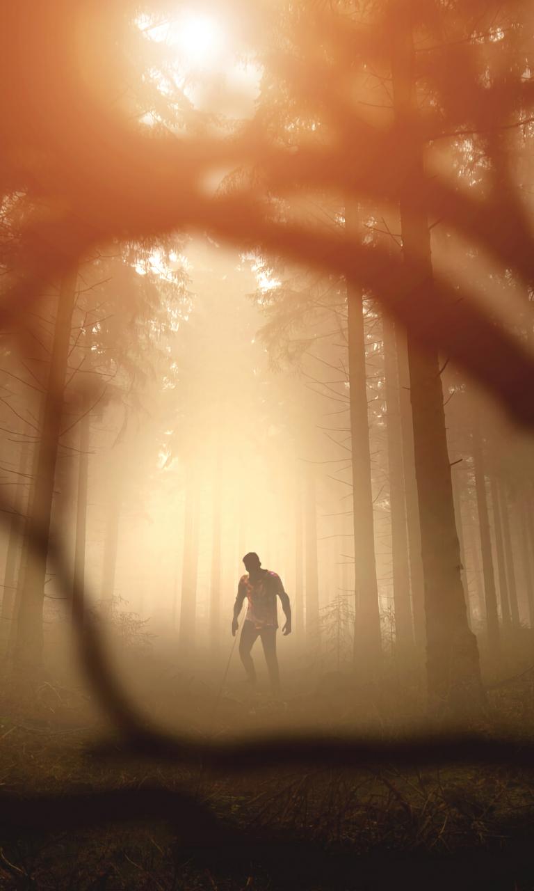 Zombie Silhouette Forest Trees Apocalypse Twilight