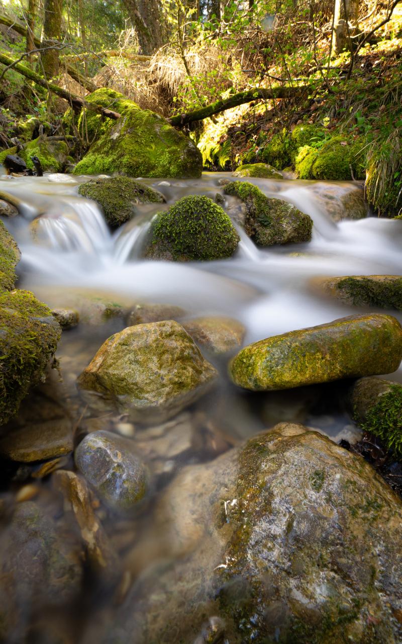 River Stream Stones Moss Water Long-exposure