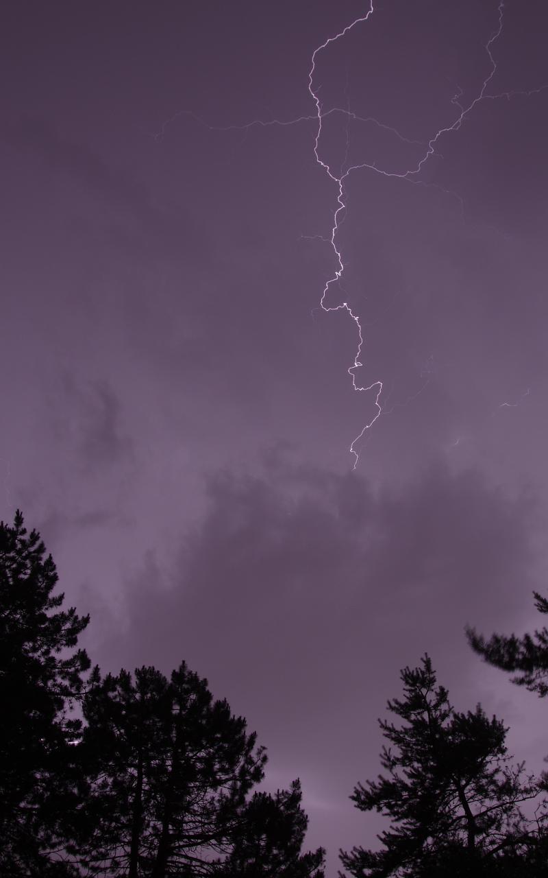 Trees Silhouettes Thunderstorm Lightning Dark
