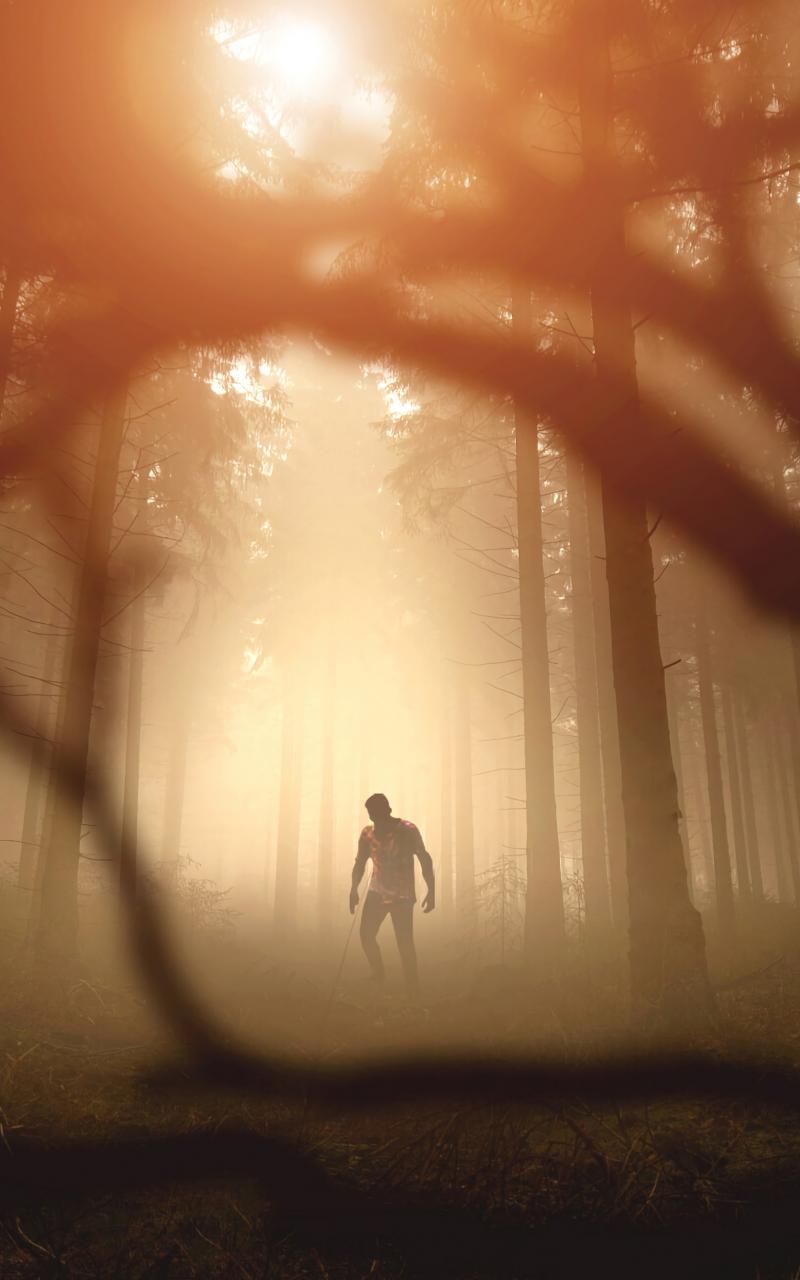 Zombie Silhouette Forest Trees Apocalypse Twilight