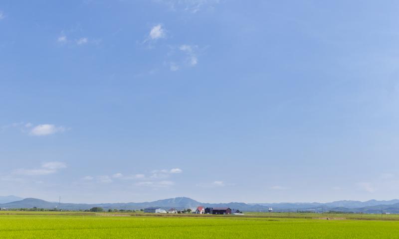 Field Grass Houses Landscape Nature Minimalism